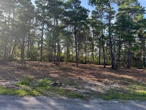 1935 Cape St, Carrabelle, FL 32322 photo 10