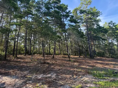 1935 Cape St, Carrabelle, FL 32322 photo 13