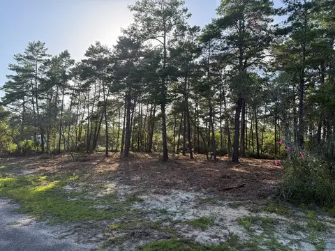 1935 Cape St, Carrabelle, FL 32322 photo 14