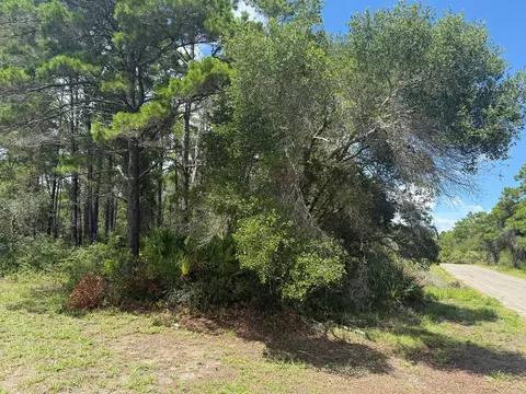 1935 Cape St, Carrabelle, FL 32322 photo 17