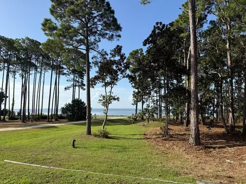View/Area - 9 Hammock Cove Rd, Eastpoint, FL 32328 photo 10 of 28