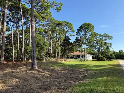 Exterior - 9 Hammock Cove Rd, Eastpoint, FL 32328 photo 4 of 32
