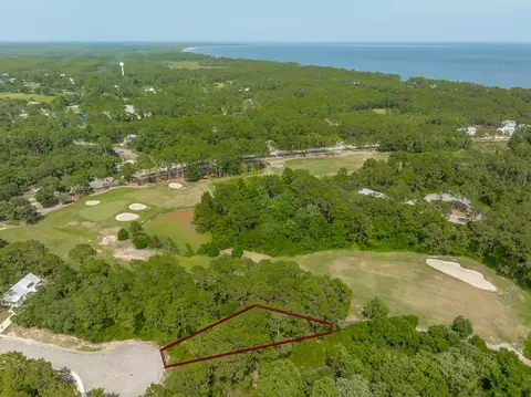 134 Spoonbill Ct, Carrabelle, FL 32323 photo 7