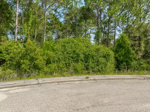 134 Spoonbill Ct, Carrabelle, FL 32323 photo 5