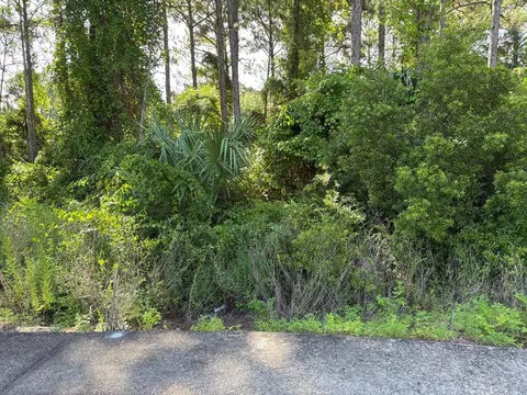 134 Spoonbill Ct, Carrabelle, FL 32323 photo 9