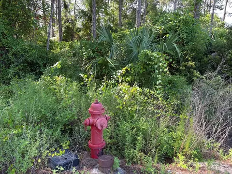 134 Spoonbill Ct, Carrabelle, FL 32323 photo 2