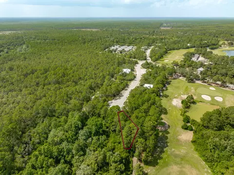 134 Spoonbill Ct, Carrabelle, FL 32323 photo 8