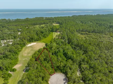 134 Spoonbill Ct, Carrabelle, FL 32323 photo 10