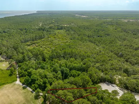 134 Spoonbill Ct, Carrabelle, FL 32323