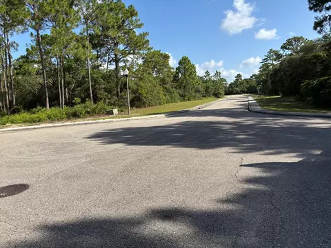 134 Spoonbill Ct, Carrabelle, FL 32323 photo 3