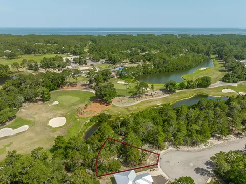 160 Anhinga Trl, Carrabelle, FL 32323 photo 4