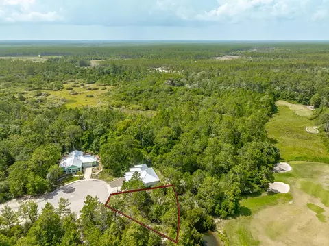 160 Anhinga Trl, Carrabelle, FL 32323 photo 9