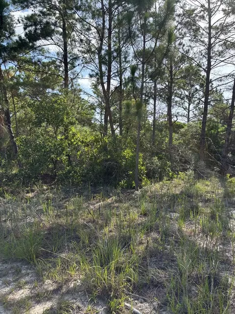160 Anhinga Trl, Carrabelle, FL 32323 photo 6