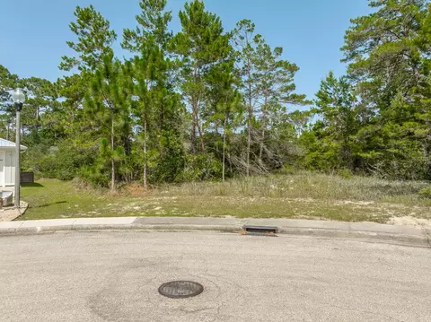 160 Anhinga Trl, Carrabelle, FL 32323 photo 8