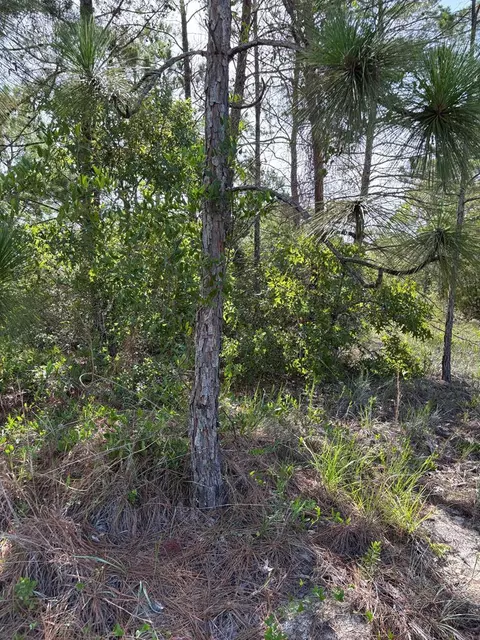 160 Anhinga Trl, Carrabelle, FL 32323 photo 2