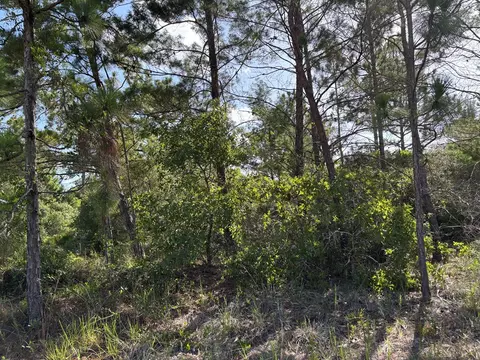 160 Anhinga Trl, Carrabelle, FL 32323 photo 3