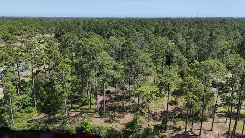 340 Jay Jay Way, Carrabelle, FL 32322 photo 2