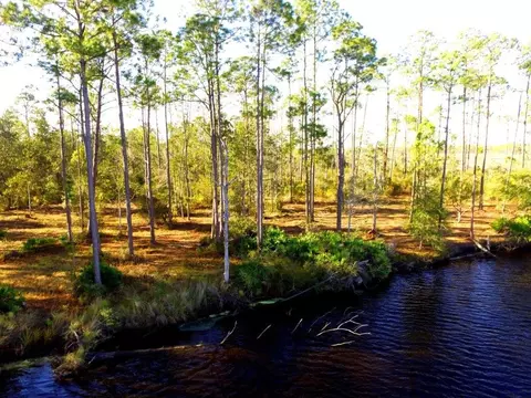 340 Jay Jay Way, Carrabelle, FL 32322 photo 12