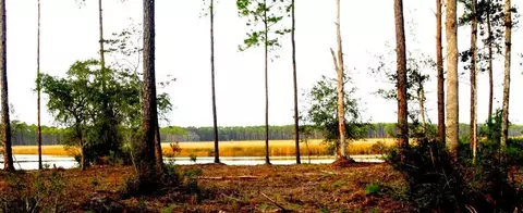 340 Jay Jay Way, Carrabelle, FL 32322 photo 7