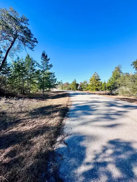 228 Lake Pristine Cir, Carrabelle, FL 32322 photo 3