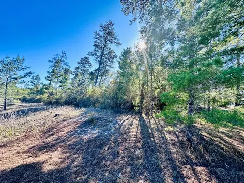 228 Lake Pristine Cir, Carrabelle, FL 32322 photo 2