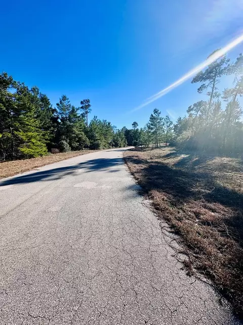 228 Lake Pristine Cir, Carrabelle, FL 32322 photo 4