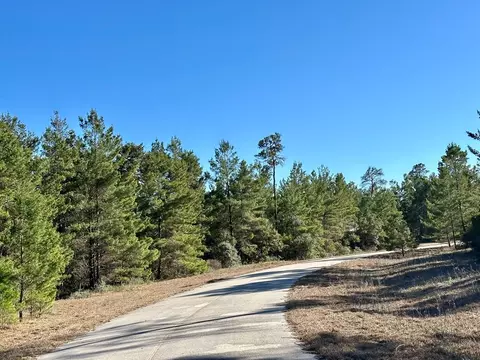 228 Lake Pristine Cir, Carrabelle, FL 32322 photo 8