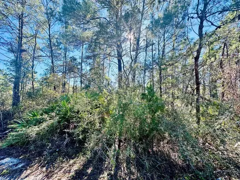 264 River Rd, Carrabelle, FL 32322 photo 3