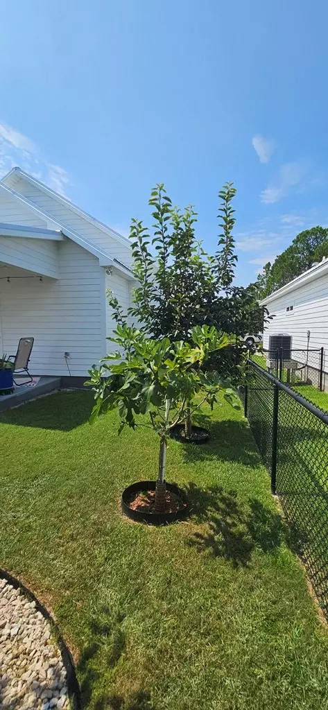 Exterior - 219 Ante-beppum Loop, Carrabelle, FL 32322 photo 8 of 11