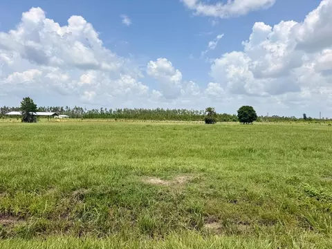 lot6 Harmony St, Wewahitchka, FL 32465