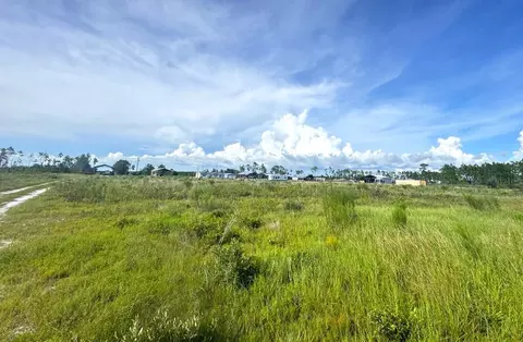 lot8 Margies Ln, Wewahitchka, FL 32465