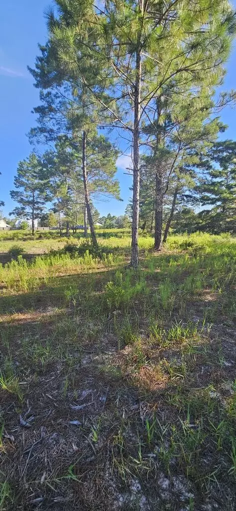 178 Lake Pristine Cir, Carrabelle, FL 32322 photo 8