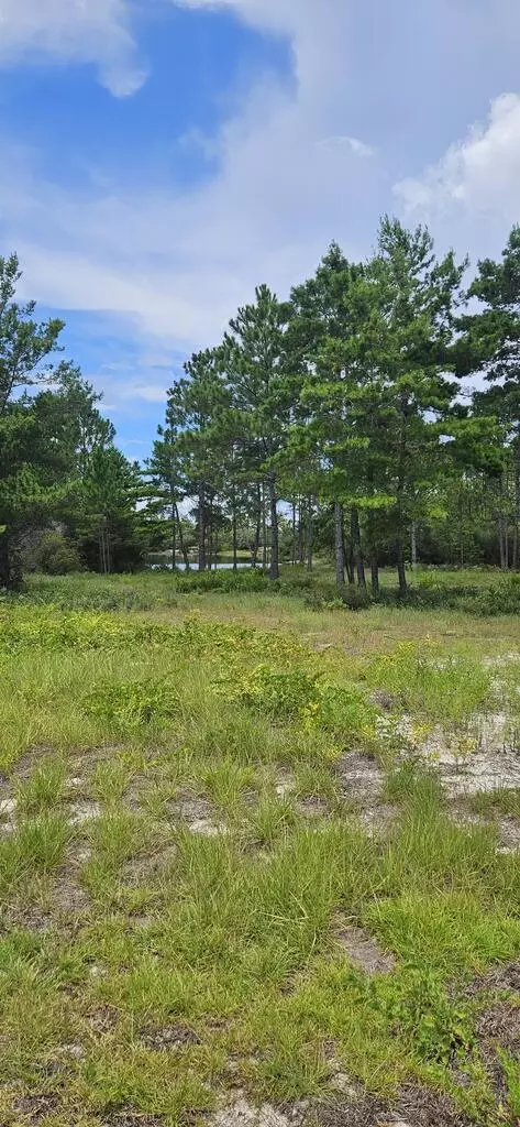 178 Lake Pristine Cir, Carrabelle, FL 32322 photo 5