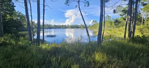 178 Lake Pristine Cir, Carrabelle, FL 32322 photo 2