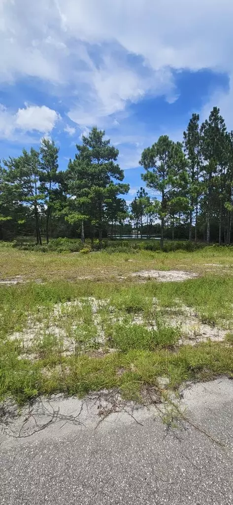 178 Lake Pristine Cir, Carrabelle, FL 32322 photo 7