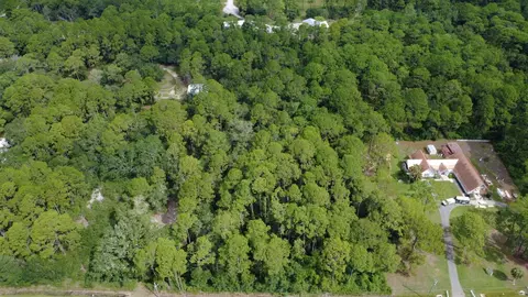 2643 Hwy 98 E, Carrabelle, FL 32322 photo 3