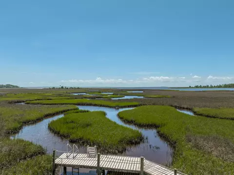 View/Area - 117 Osprey, Carrabelle, FL 32322 photo 2 of 3