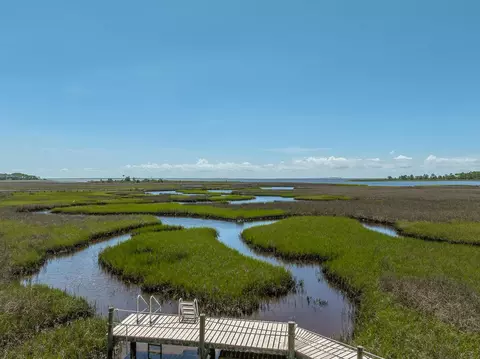 View/Area - 117 Osprey, Carrabelle, FL 32322 photo 2 of 7