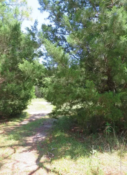 155 Doe Ln, Carrabelle, FL 32322 photo 9