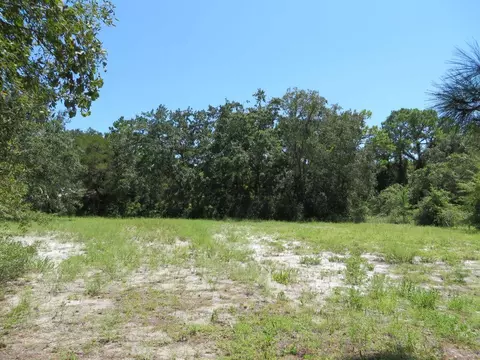 155 Doe Ln, Carrabelle, FL 32322 photo 11