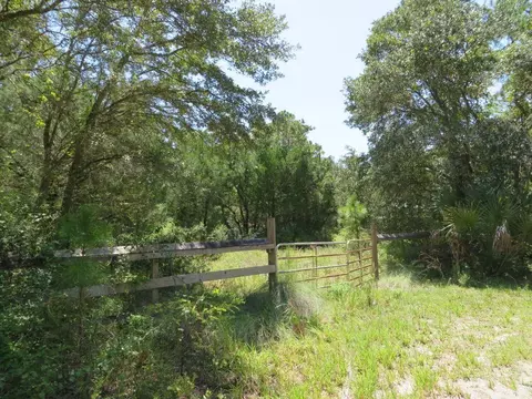 155 Doe Ln, Carrabelle, FL 32322 photo 4