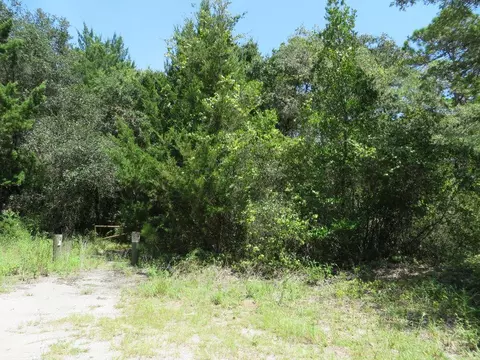 155 Doe Ln, Carrabelle, FL 32322 photo 6