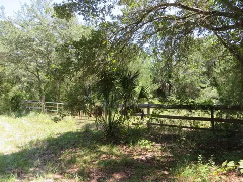 155 Doe Ln, Carrabelle, FL 32322 photo 5