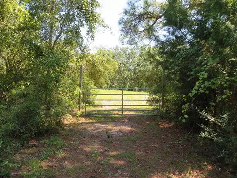 155 Doe Ln, Carrabelle, FL 32322 photo 10