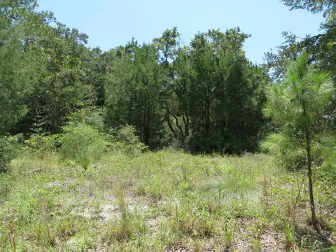 155 Doe Ln, Carrabelle, FL 32322 photo 7