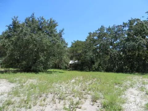 155 Doe Ln, Carrabelle, FL 32322 photo 12