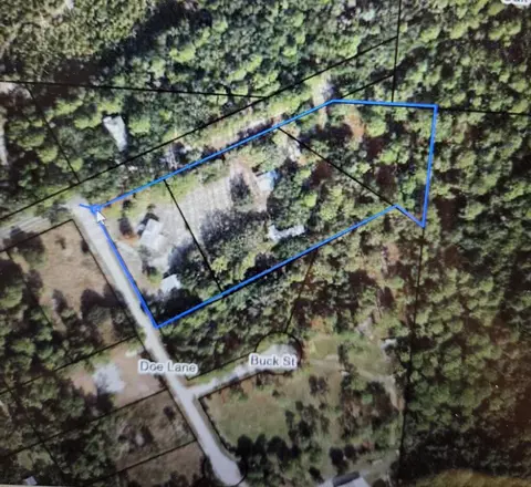 155 Doe Ln, Carrabelle, FL 32322 photo 58