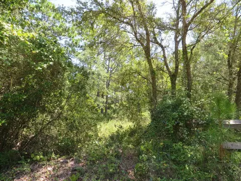 155 Doe Ln, Carrabelle, FL 32322 photo 8