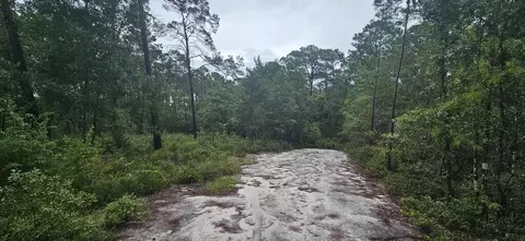 1008 Sunset Cir, Carrabelle, FL 32322 photo 6