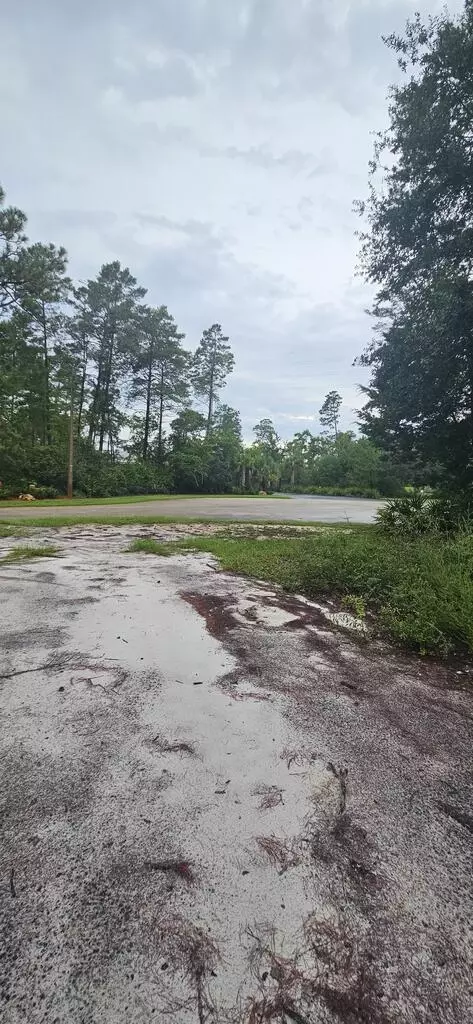1008 Sunset Cir, Carrabelle, FL 32322 photo 7